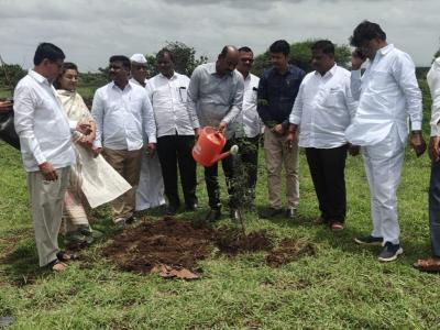 Upabajara Mauje Cicondi Patila Vrksaropana