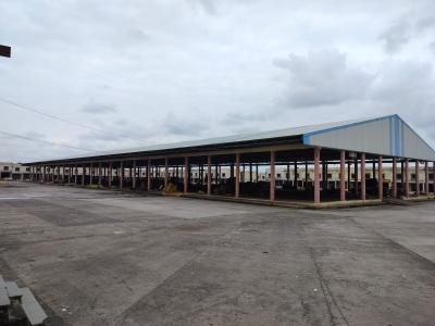 Whatsapp Image 2025 11 18 At 12.03.24