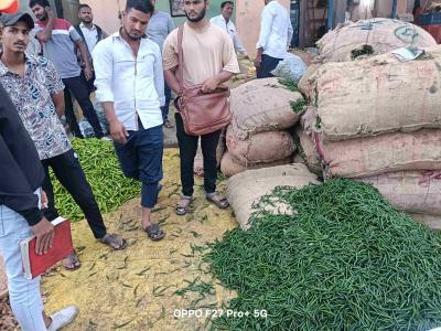 Whatsapp Image 2025 11 20 At 12.02.16