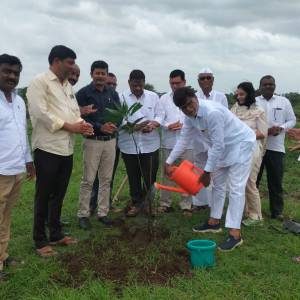 upabajara_mauje_cicondi_patila_vrksaropana_2_original