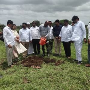 upabajara_mauje_cicondi_patila_vrksaropana_original