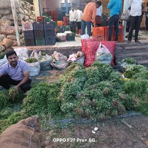 WhatsApp_Image_2025-11-20_at_12.02.34_original